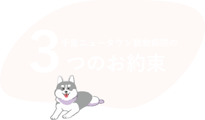 3つのお約束